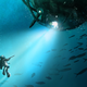 Illustration for article titled This Falls Must-Read Science Fiction and Fantasy Books